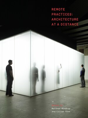 cover image of Remote Practices
